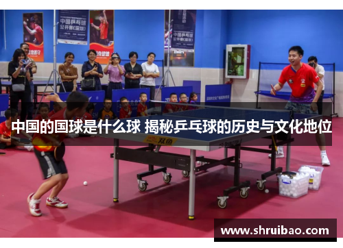 中国的国球是什么球 揭秘乒乓球的历史与文化地位