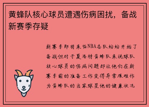 黄蜂队核心球员遭遇伤病困扰，备战新赛季存疑