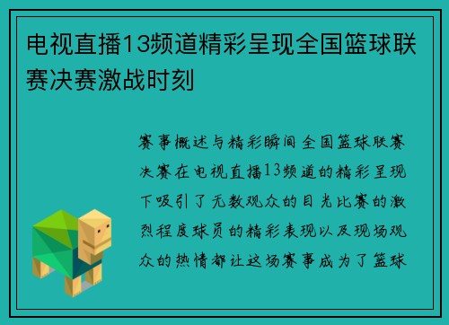 电视直播13频道精彩呈现全国篮球联赛决赛激战时刻